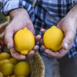 European lemon, an example of sustainability at every level